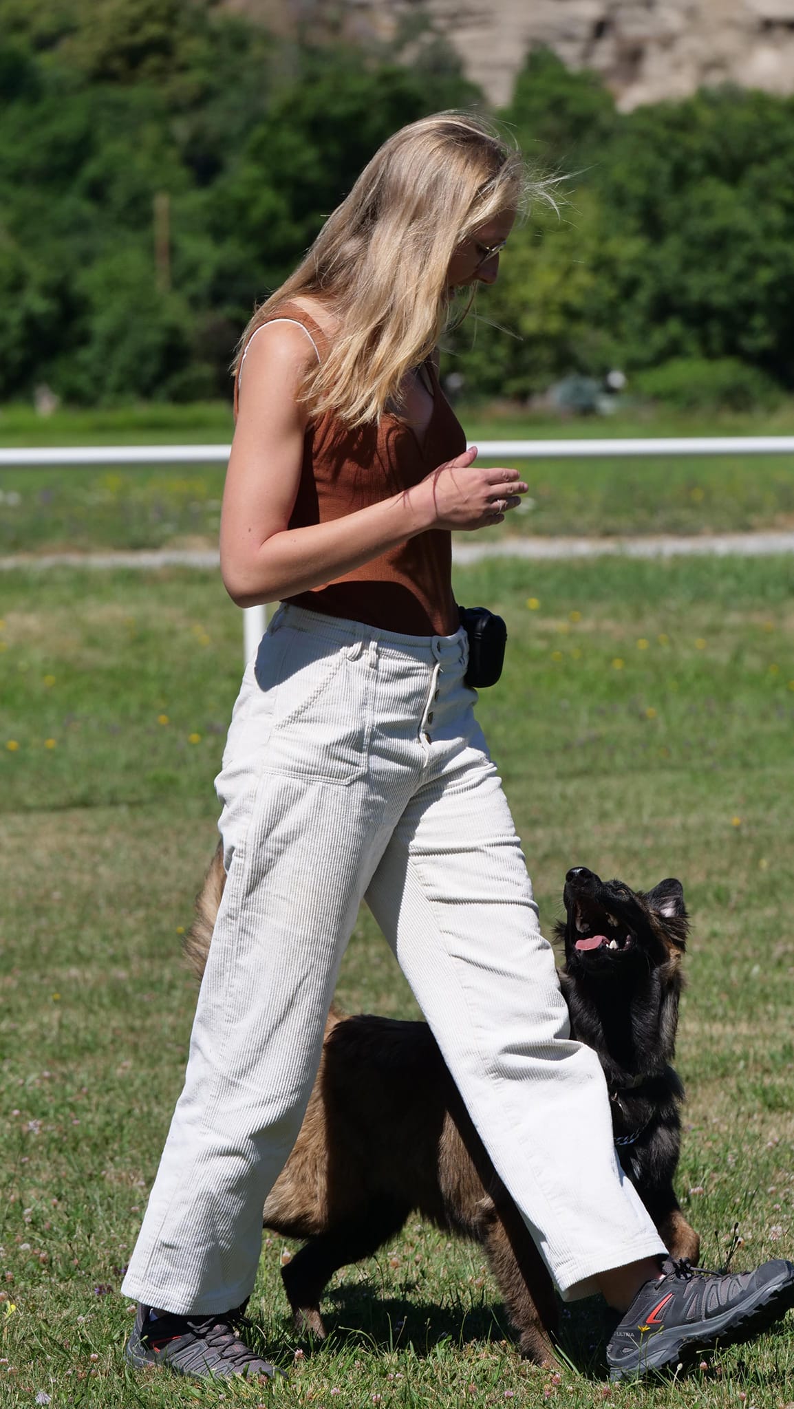 Balades éducatives pour chiens à Belfort