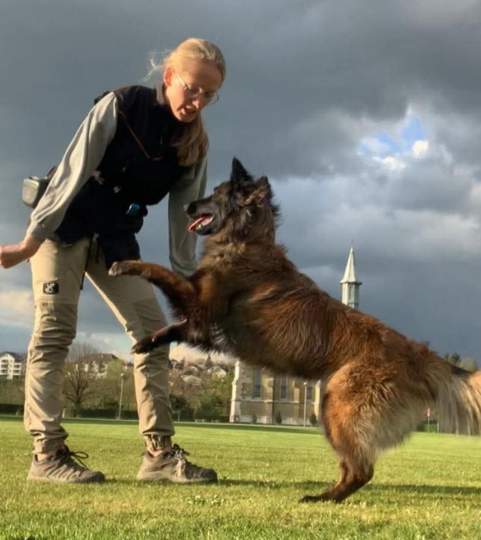 Éducateur canin Belfort