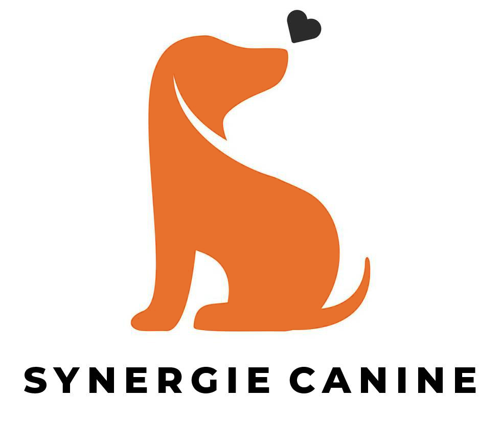synergie-canine